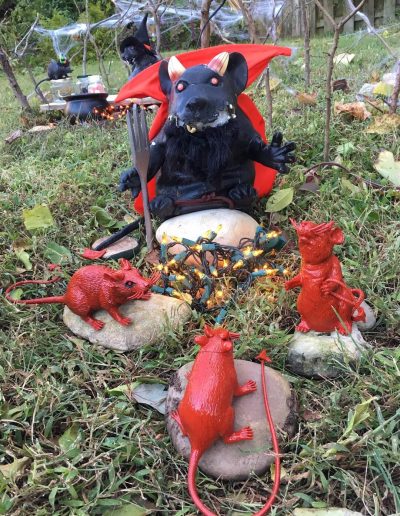 Brutus dressed as devil rat with demon rats