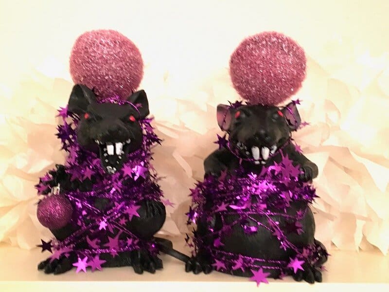 Rats dressed up for the disco