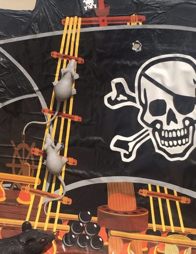 Rats in the pirate ship rigging